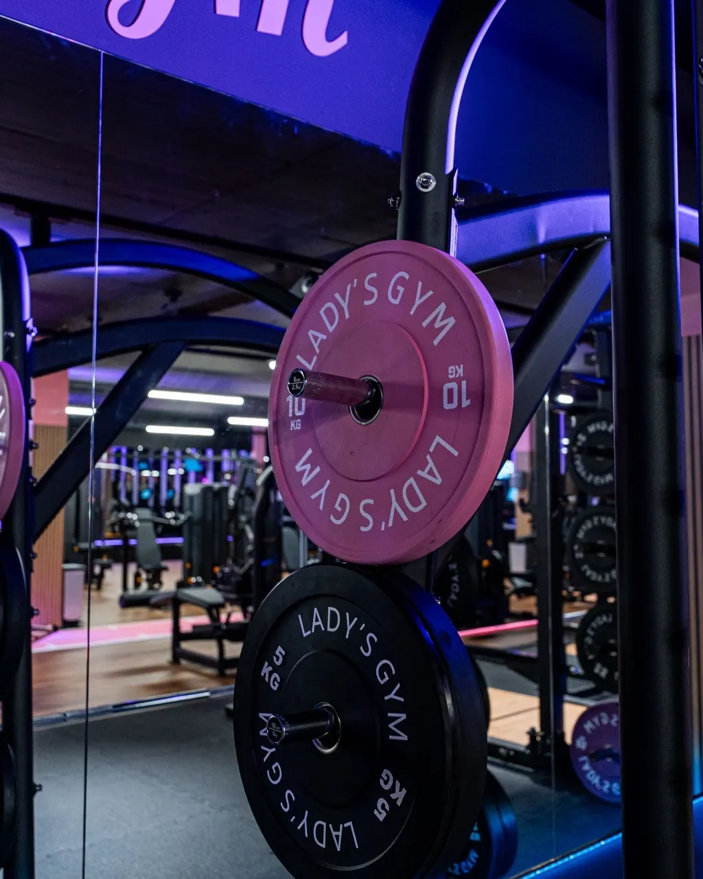 Kraftbereich im Lady’s Gym Rothenburg